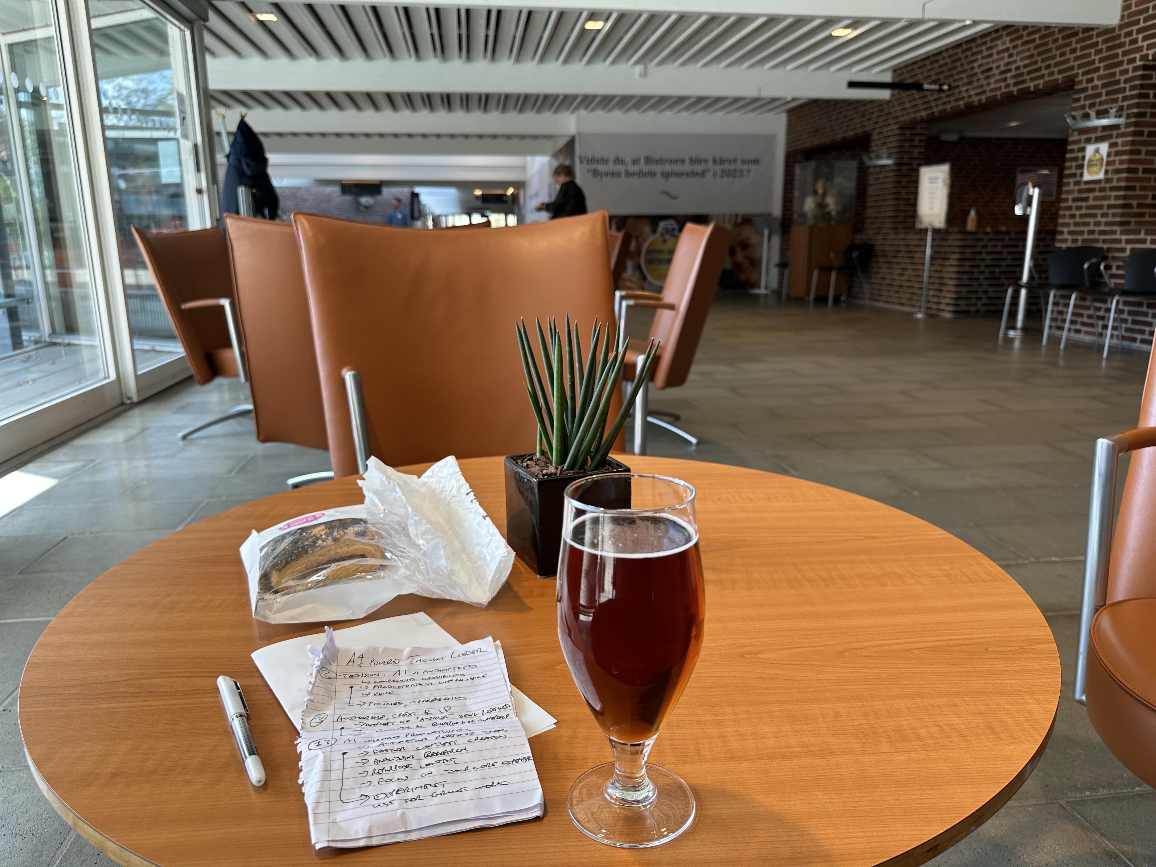 My book notes, and a beer, in Denmark
